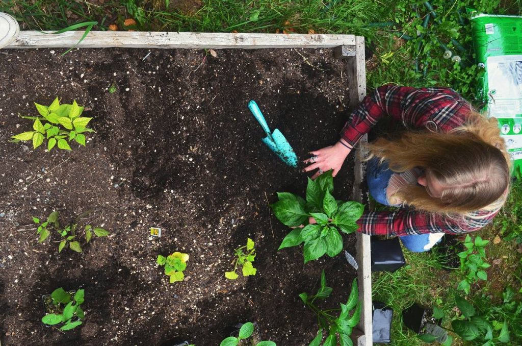 microfiber cloth cleaning cloths: The Unsung Heroes of Sustainable Home Care