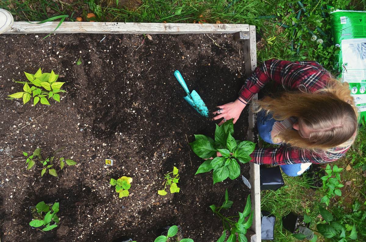 microfiber cloth cleaning cloths: The Unsung Heroes of Sustainable Home Care