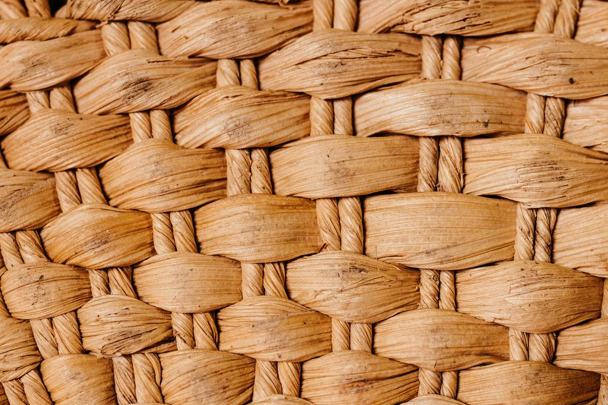 sustainable cloth co patterns